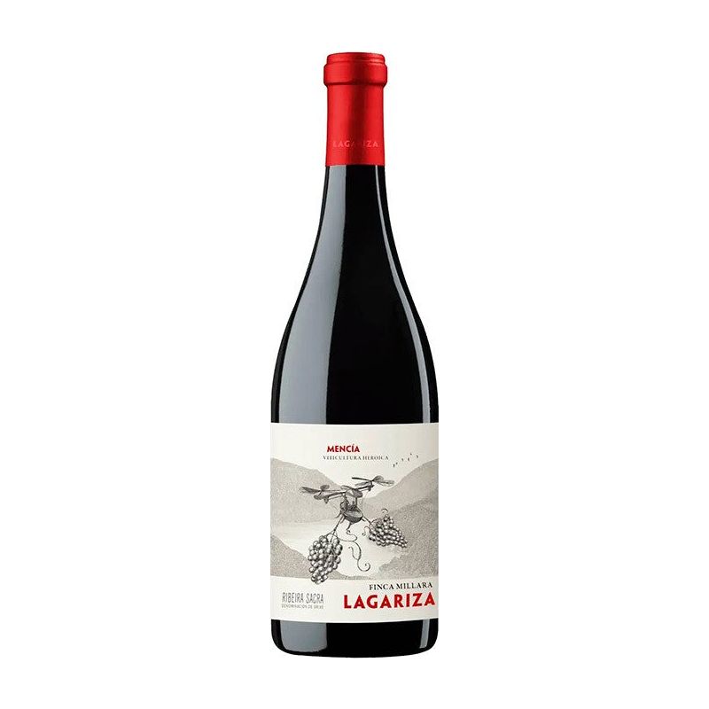Finca Míllara Lagariza 2023 - En Copa de Balón